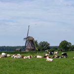 Verschillende soorten afrastering afrastering