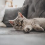 De Blondie ontdekt: Pro2move in je interieur & lifestyle voor dertigers!