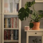 Ontdek de nieuwste trends van Mooibeauty, Huismaker en Mormeltjeswebshop!