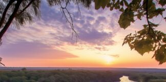Ontdek de verborgen schatten: Jouw ultime rondreis door Zambia en Mozambique